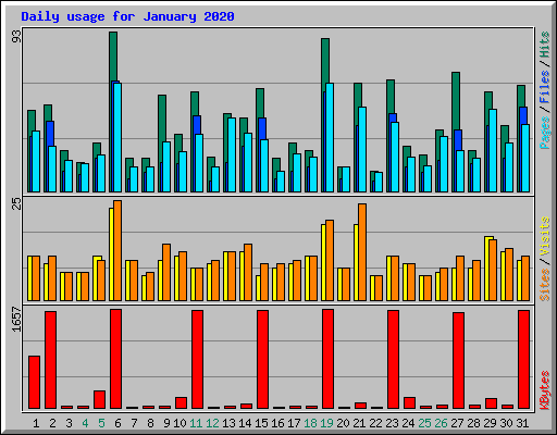 Daily usage for January 2020