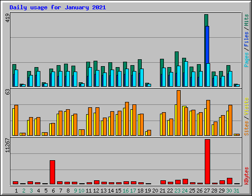 Daily usage for January 2021