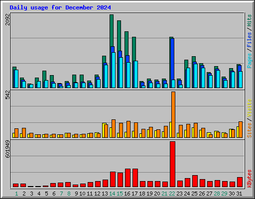 Daily usage for December 2024