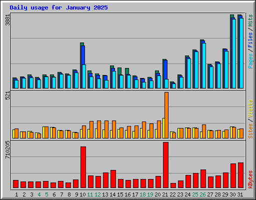 Daily usage for January 2025