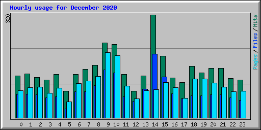 Hourly usage for December 2020