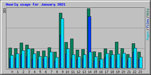 Hourly usage for January 2021