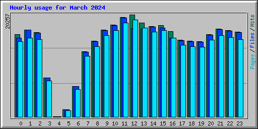 Hourly usage for March 2024