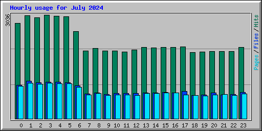 Hourly usage for July 2024
