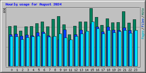 Hourly usage for August 2024