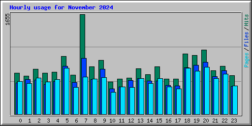 Hourly usage for November 2024