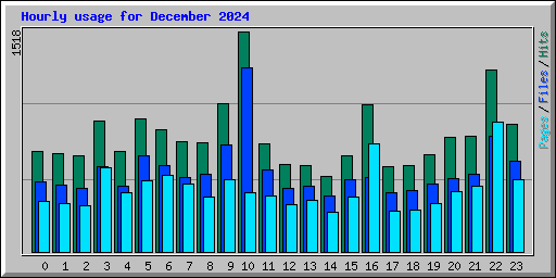 Hourly usage for December 2024