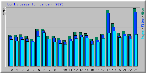 Hourly usage for January 2025