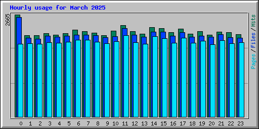 Hourly usage for March 2025