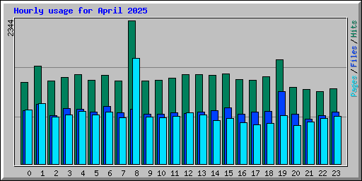 Hourly usage for April 2025