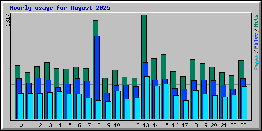 Hourly usage for August 2025