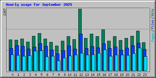 Hourly usage for September 2025