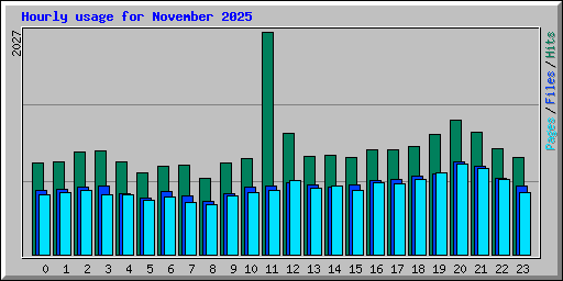 Hourly usage for November 2025