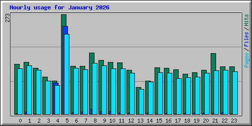 Hourly usage for January 2026